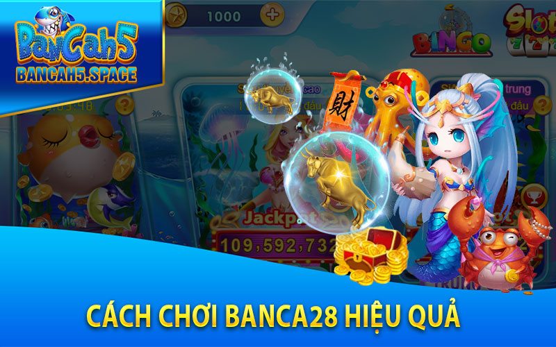 Cách chơi Banca28 hiệu quả