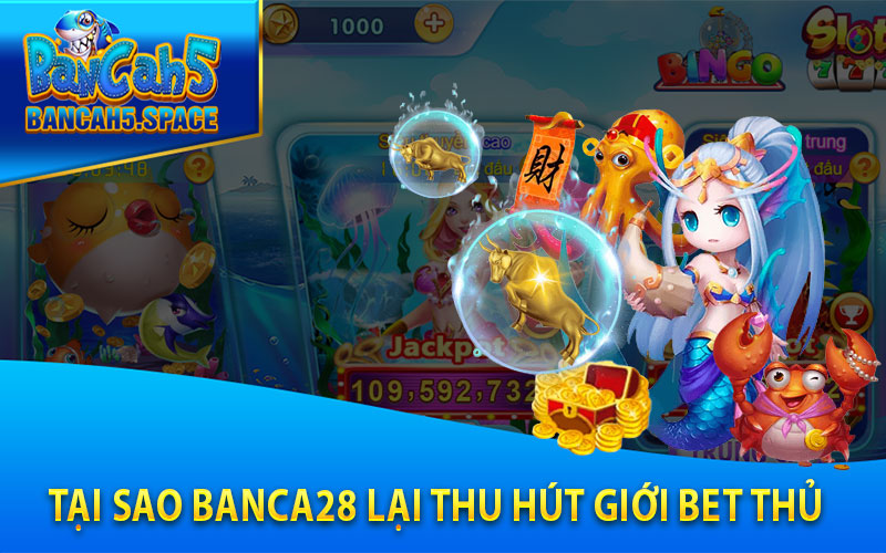 Tại sao Banca28 lại thu hút giới bet thủ