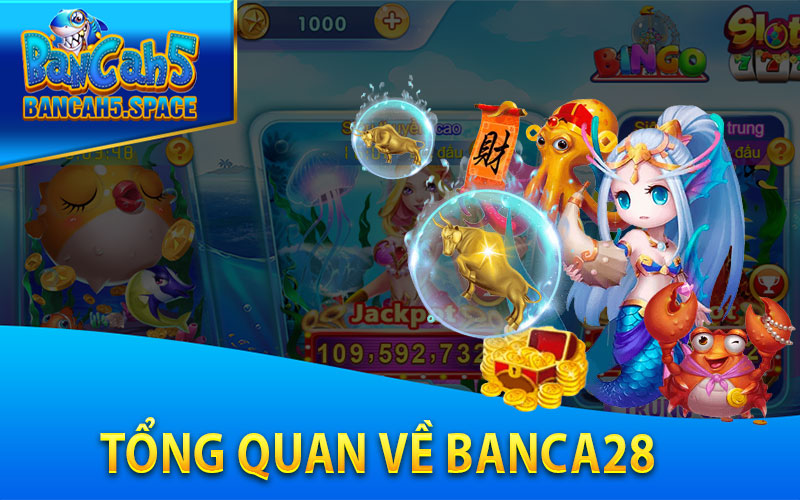 Tổng quan về Banca28